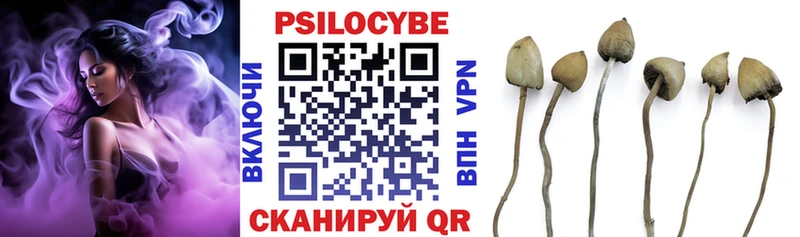 Псилоцибиновые грибы Cubensis  закладка  Называевск 